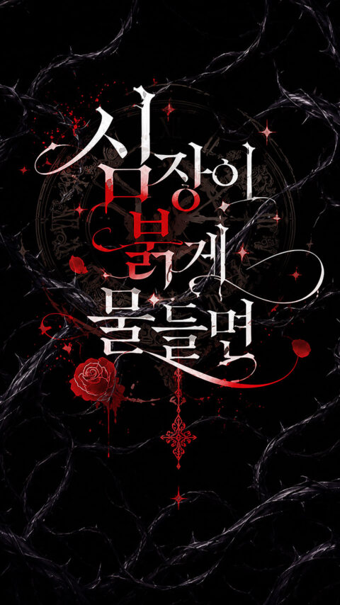 기존 메인 MEDIA 1 썸네일